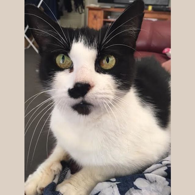 Photo of Sweet Pea