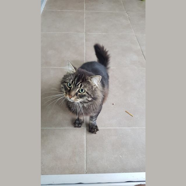 Photo of Bobby Aka Bob