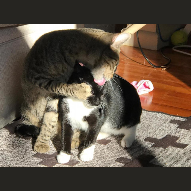 Photo of Frankie & Lil Bugs