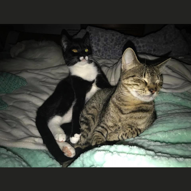 Photo of Frankie & Lil Bugs
