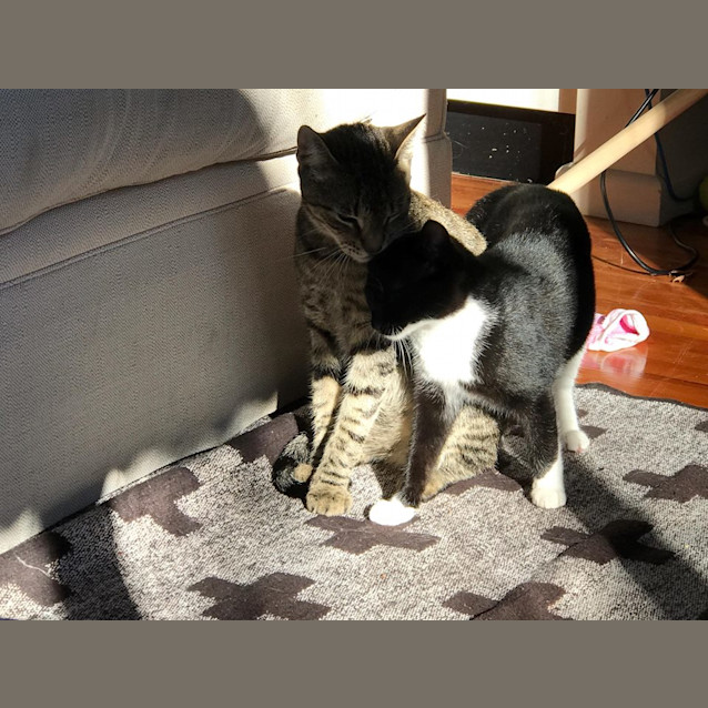 Photo of Frankie & Lil Bugs