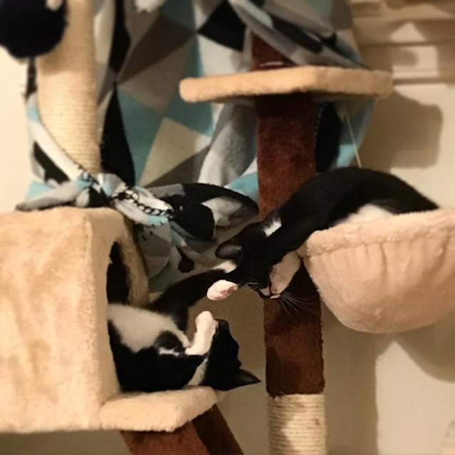 Photo of Frankie & Lil Bugs