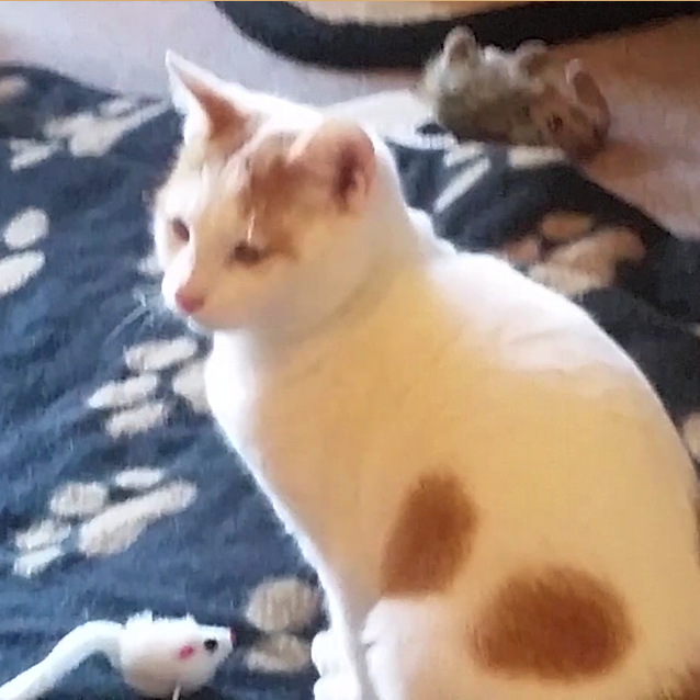 Photo of Jeremy   Loving, Friendly Teenager!