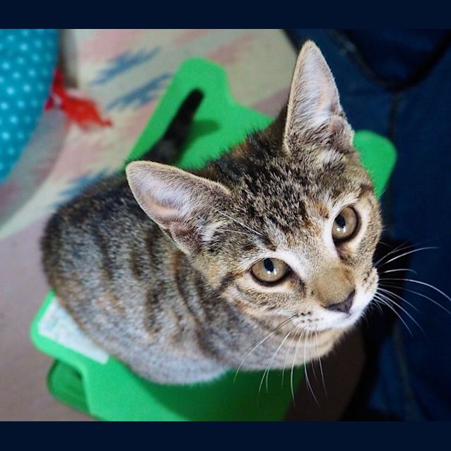 Photo of Luna & Lola