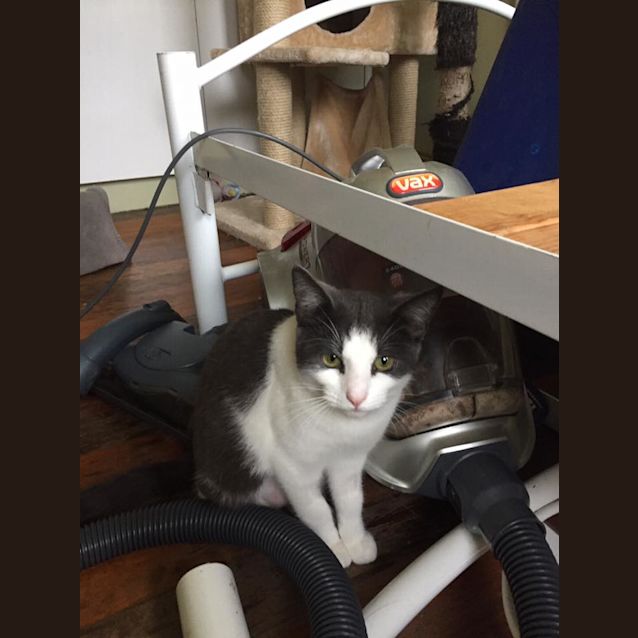 Photo of Rori