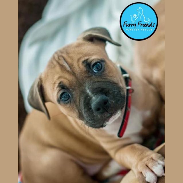 Photo of Molly