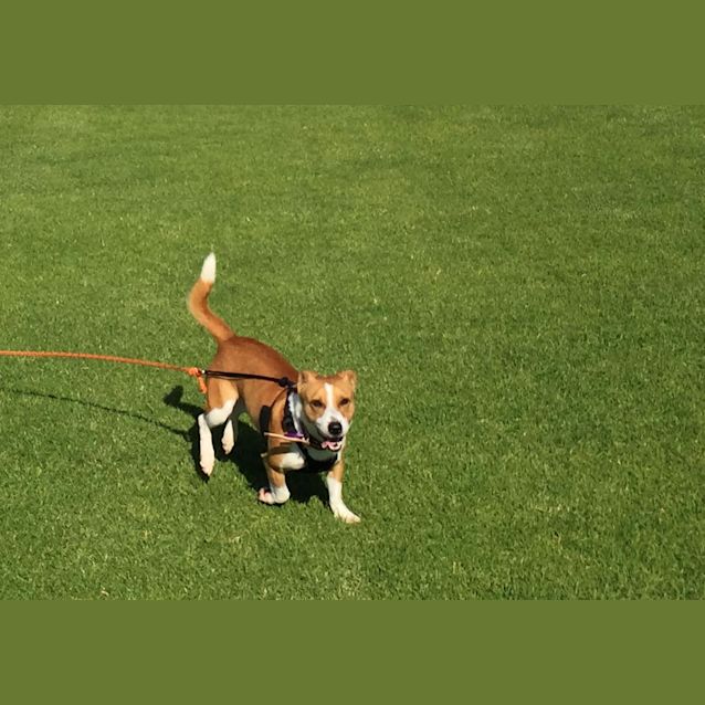 Photo of Wally Dl1661