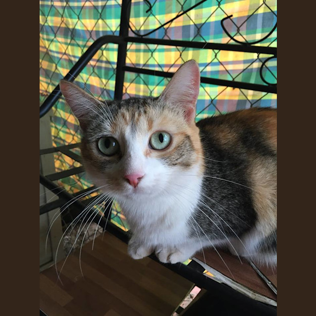 Photo of Molly