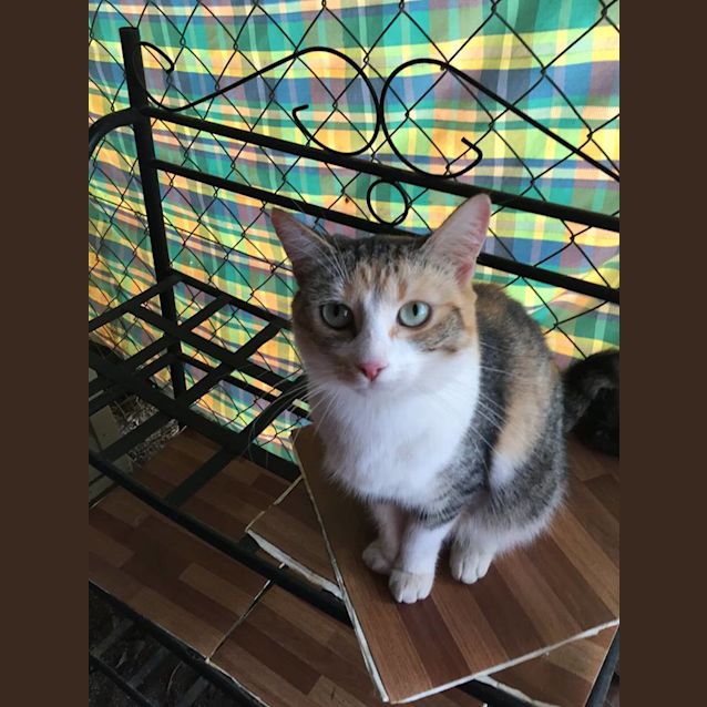 Photo of Molly