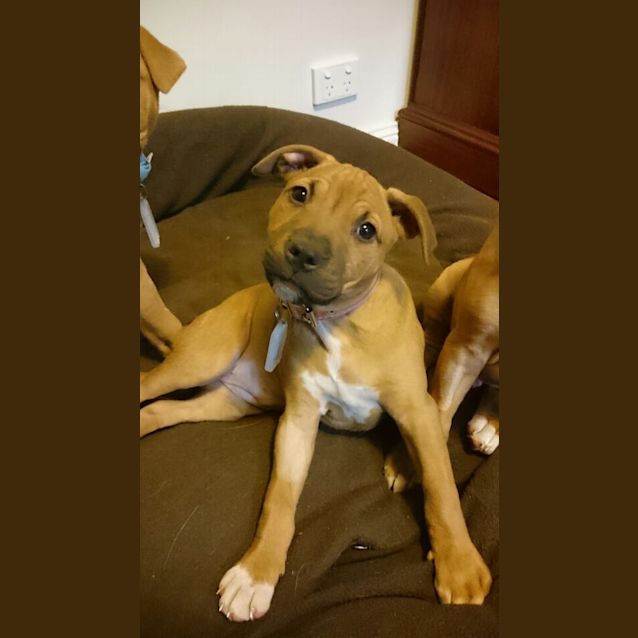 Photo of Ivy