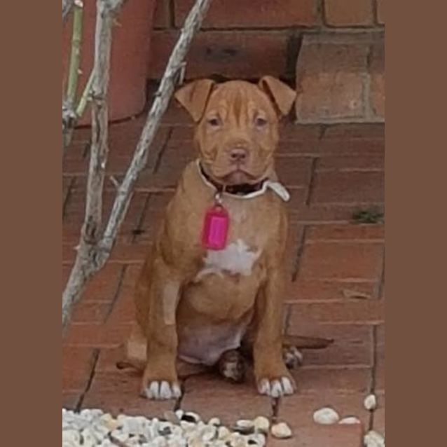 Photo of Clover 