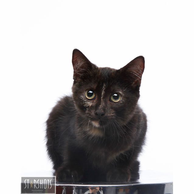 Photo of Clara