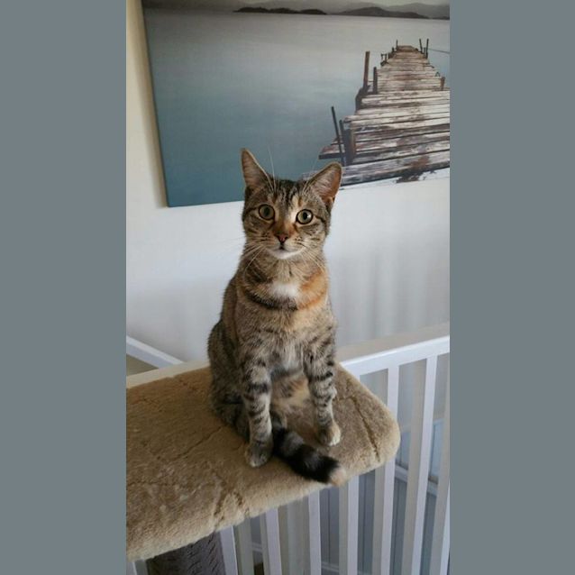 Photo of Eva 