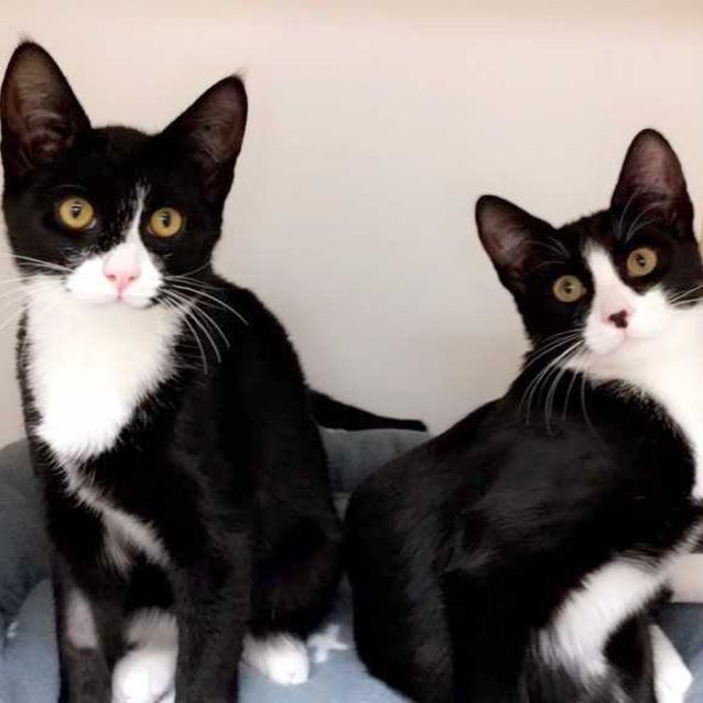 Photo of Moe & Mr Cuddles