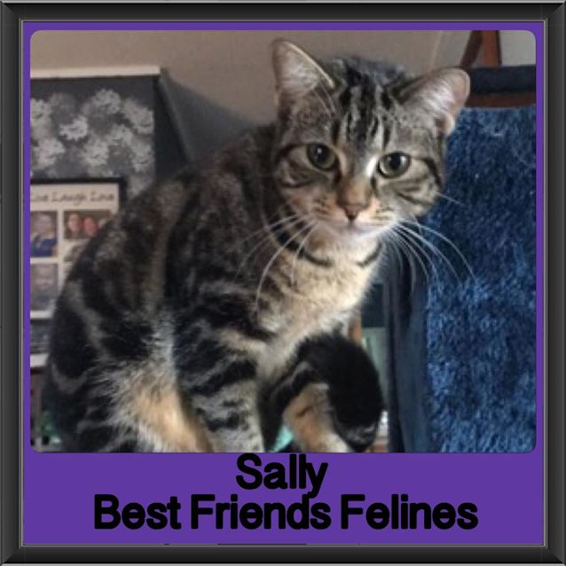 Photo of Sally