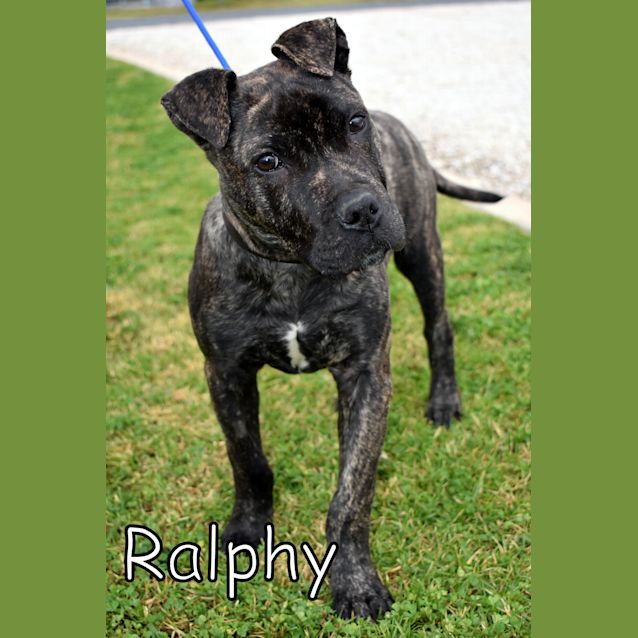Photo of Ralphy