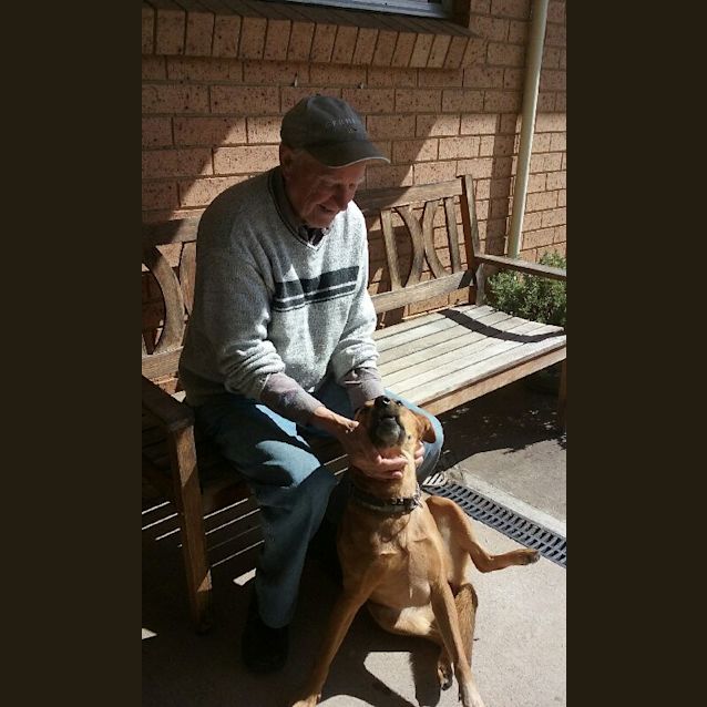 Photo of Cookie   Urgently Needs A Home 