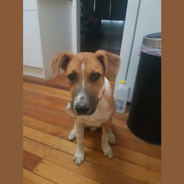 Photo of Van Damn (Vaan)