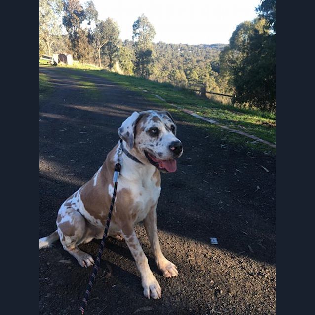 Photo of Oscar