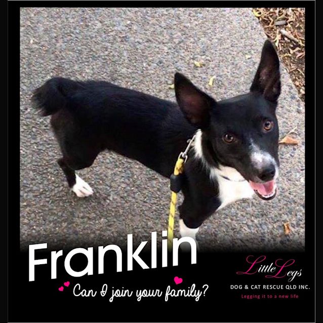 Photo of Franklin