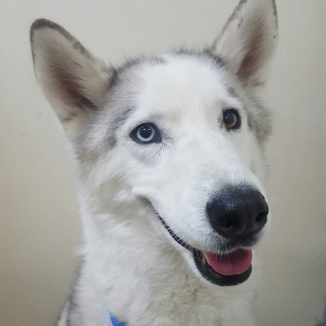 Photo of Mya