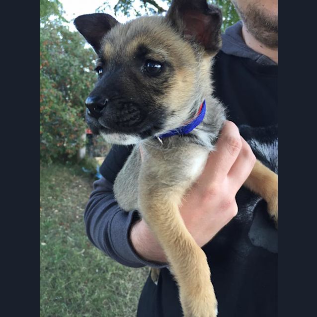 Photo of Lily