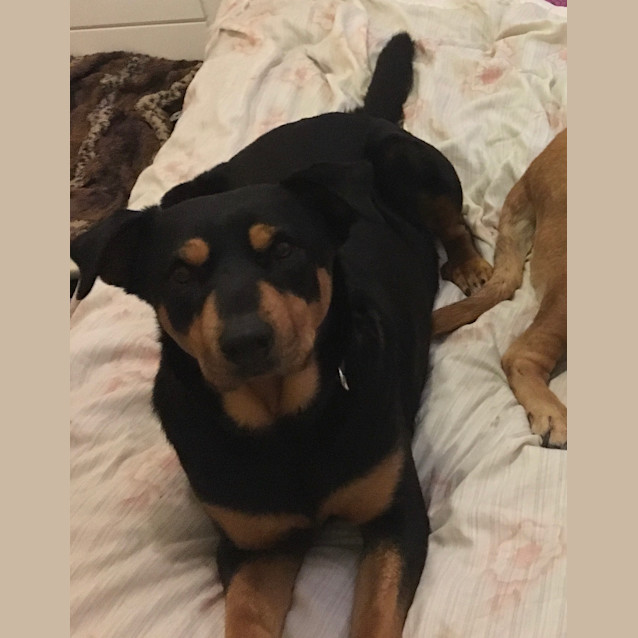 Photo of Honey ** A Divine Girl **