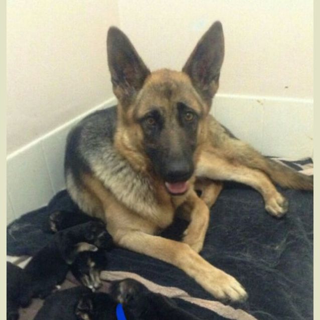 Photo of Star   On Hold   Meet And Greet Organised