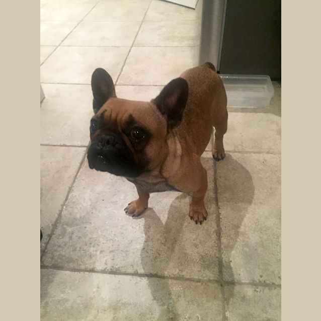 Photo of Belle