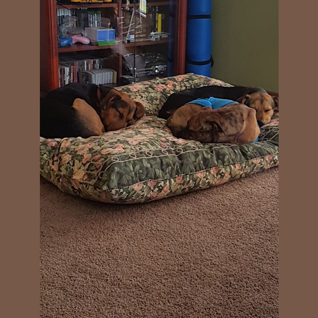Photo of Flynn