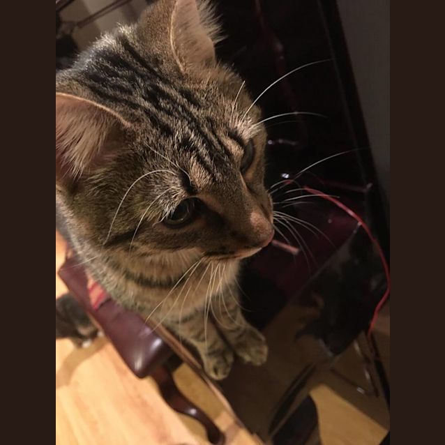 Photo of Prince (Located In Bentleigh East)