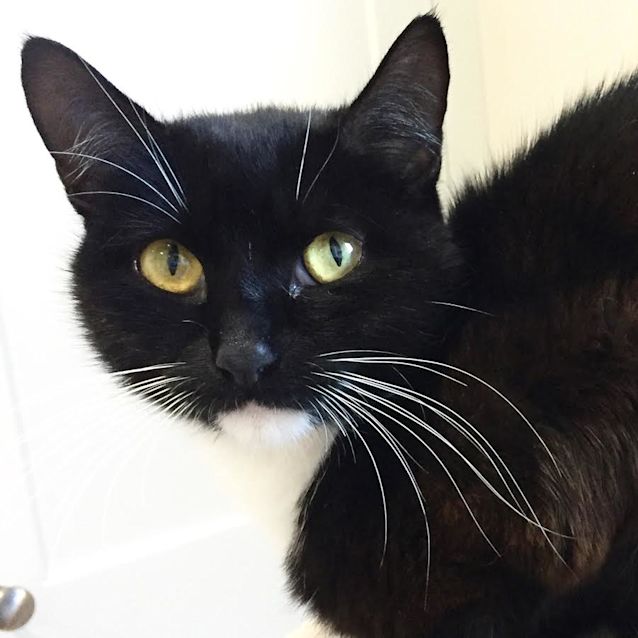 Photo of Prada (Located In Oak Park)