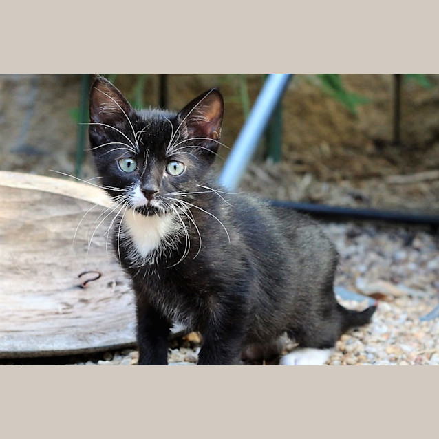 Photo of Harper And Mo