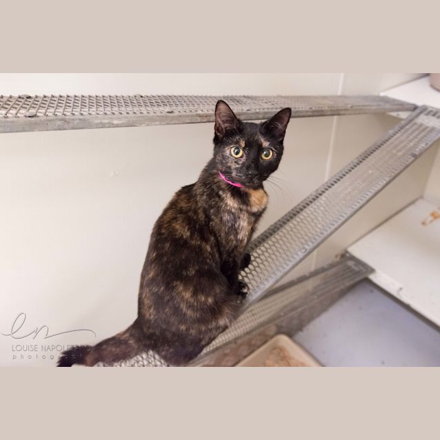 Photo of Lady (2820)