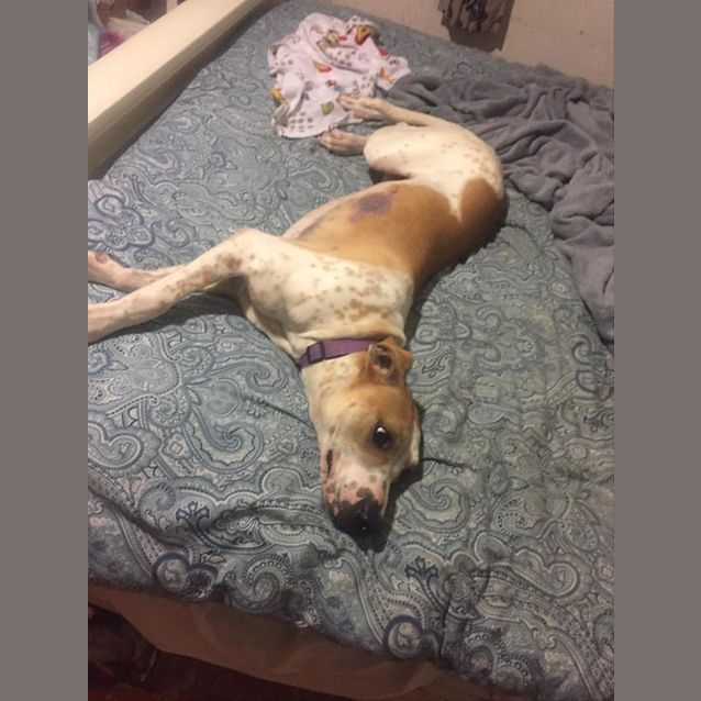 Photo of Polly