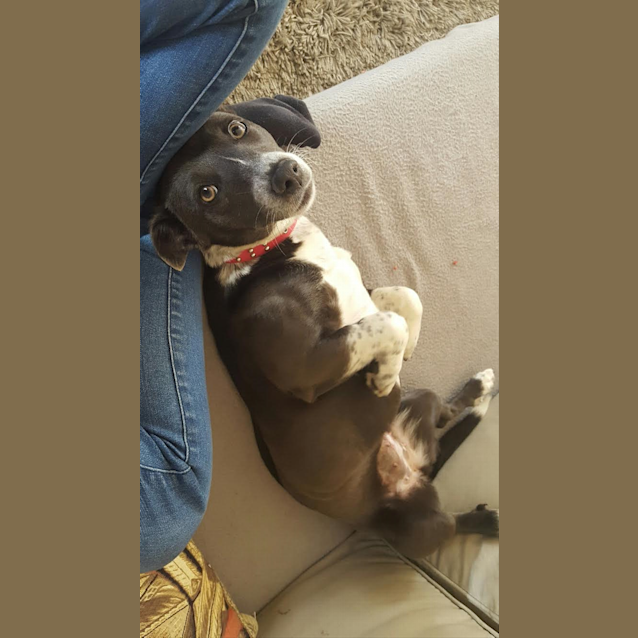 Photo of Blue
