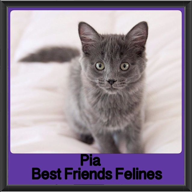 Photo of Pia