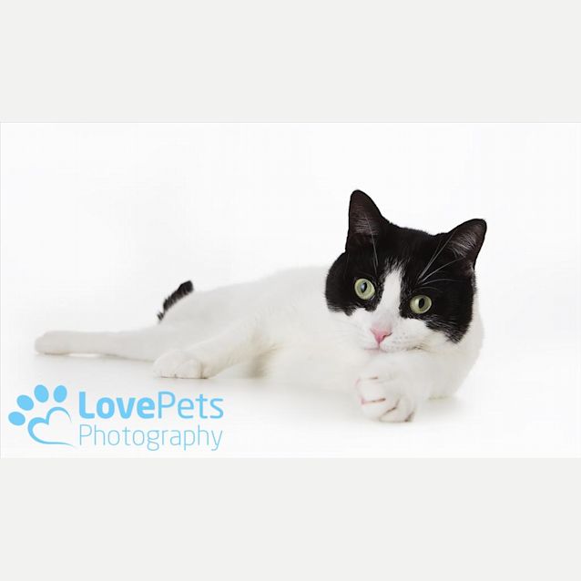 Photo of Pixi