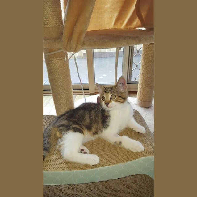 Photo of Hux