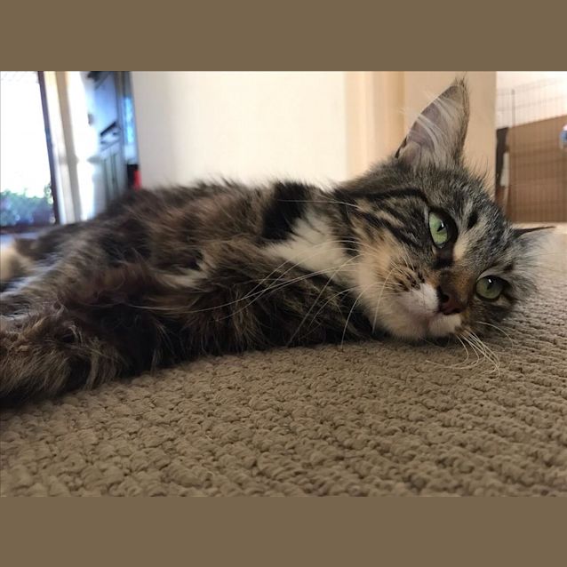 Photo of Jade