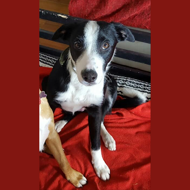 Photo of Phoenix(now Wally)