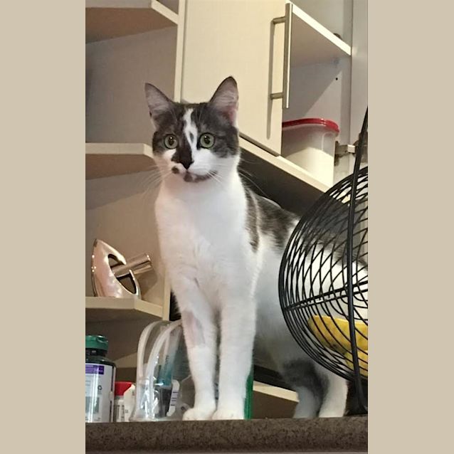 Photo of Mila