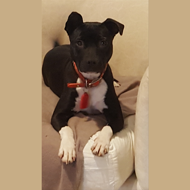 Photo of Lucy
