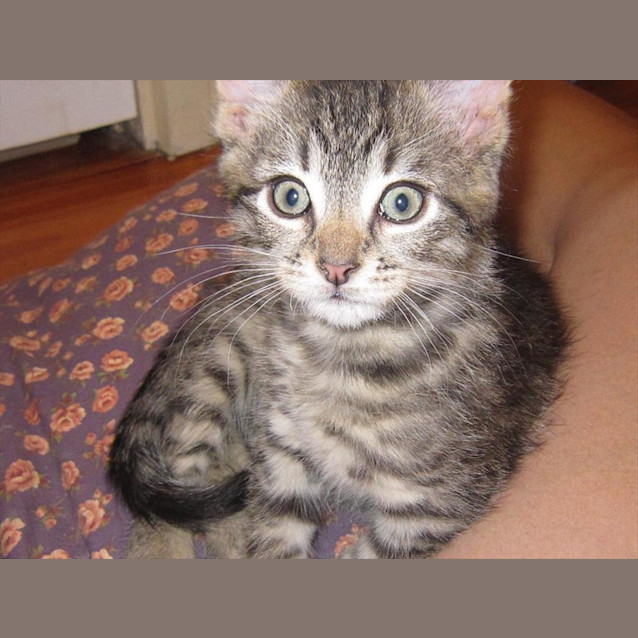 Photo of Chunk