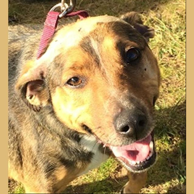 Photo of Lucy