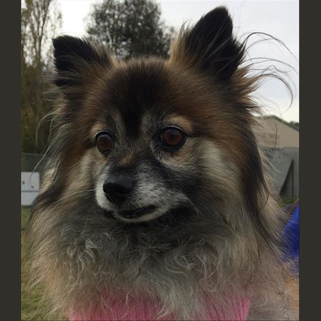 Photo of Charlotte