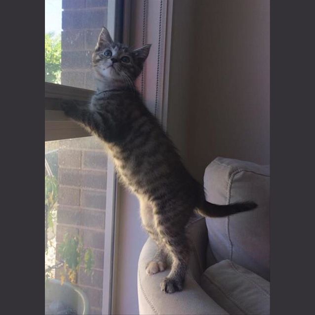 Photo of Lucy