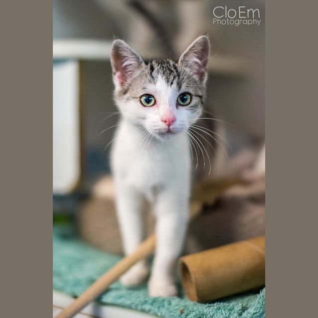 Photo of Chuck