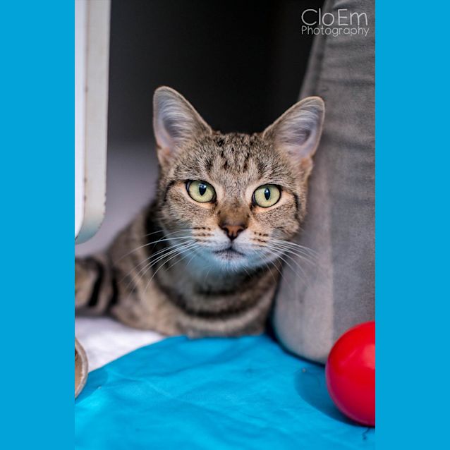 Photo of London