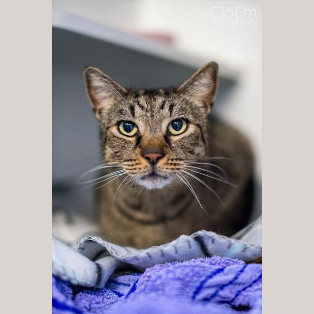 Photo of Tigger